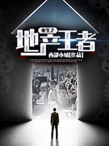 卖房子的人