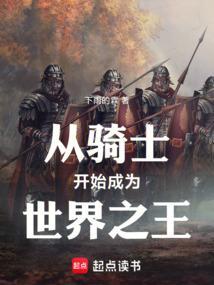 从骑士开始成为世界之王 无防盗