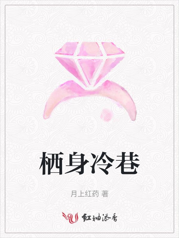 栖身讲的什么