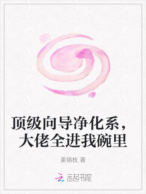 顶级向导净化系