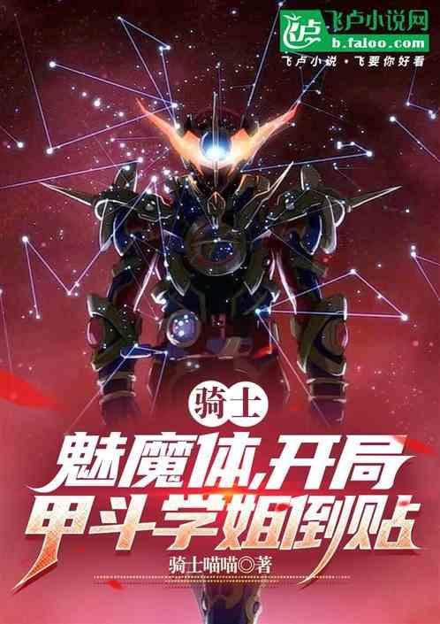 圣骑士与魅魔