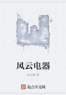 风云电器有限公司