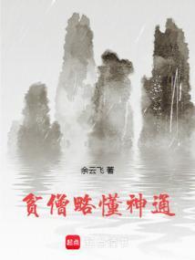 贫僧无解