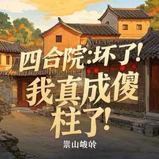 四合院我成了傻柱他爹卡夜阁