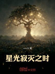 星光寂寥什么意思