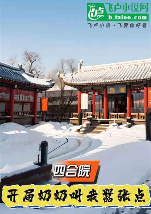 四合院开局聋老太太亲孙子