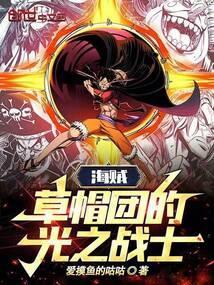 草帽海贼团攻略