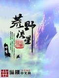 荒野流浪者视频bilibili