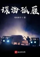 谍海孤雁百度百科