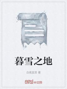 暮雪之城4