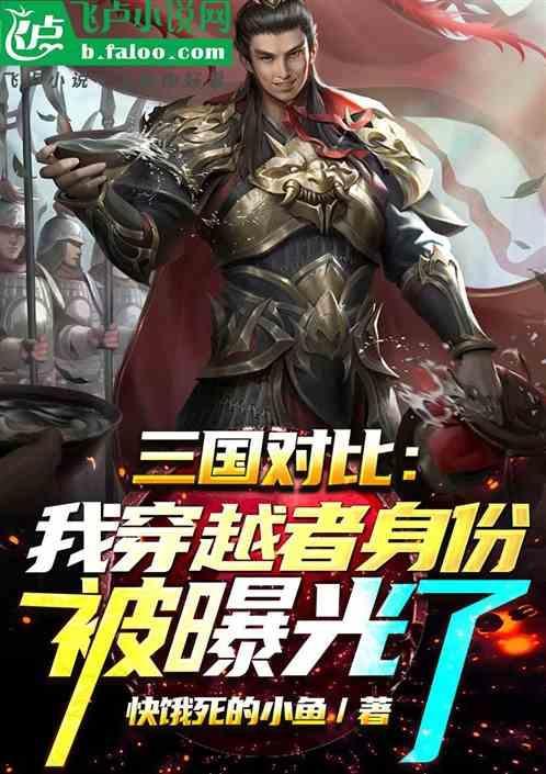 三国之双曹