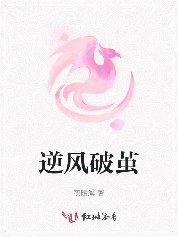 逆风吹破风追