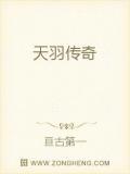 天羽传奇online