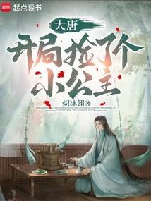 大唐开局成了公主驸马