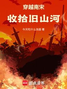 穿越南宋的历史