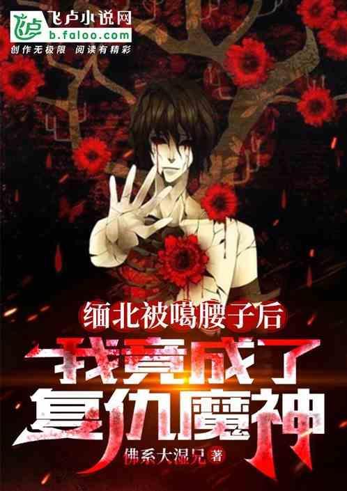 缅北藏族