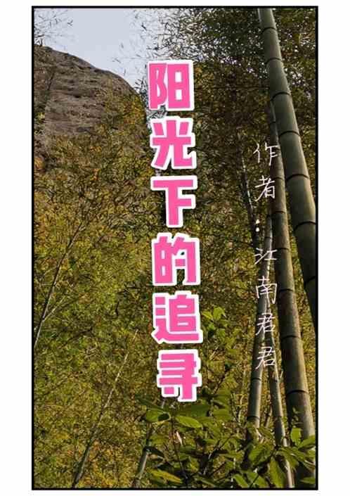 阳光下的追寻是什么歌