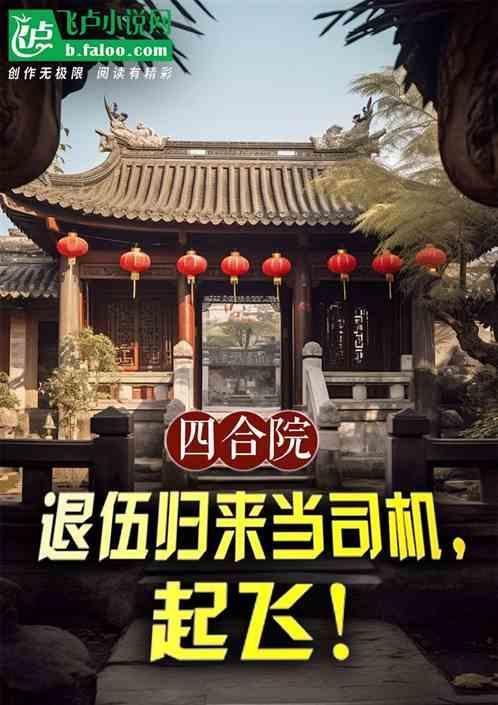 四合院退伍归来当司机起飞