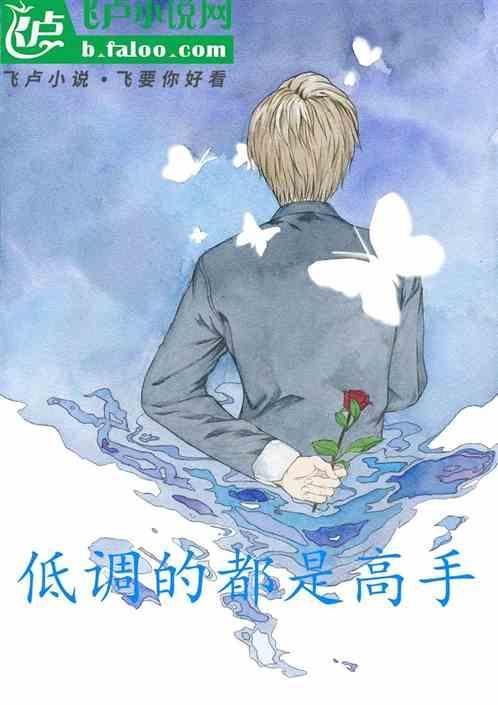 低调高手人物介绍