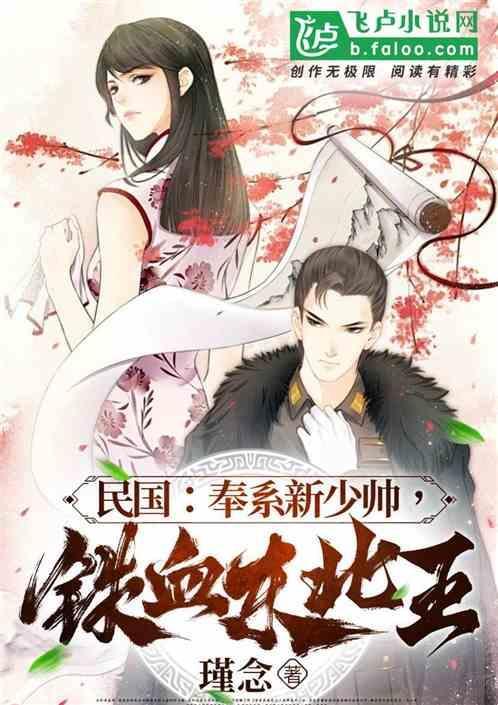 铁血东北王免费