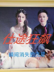 仕途狂飙免费全文阅读