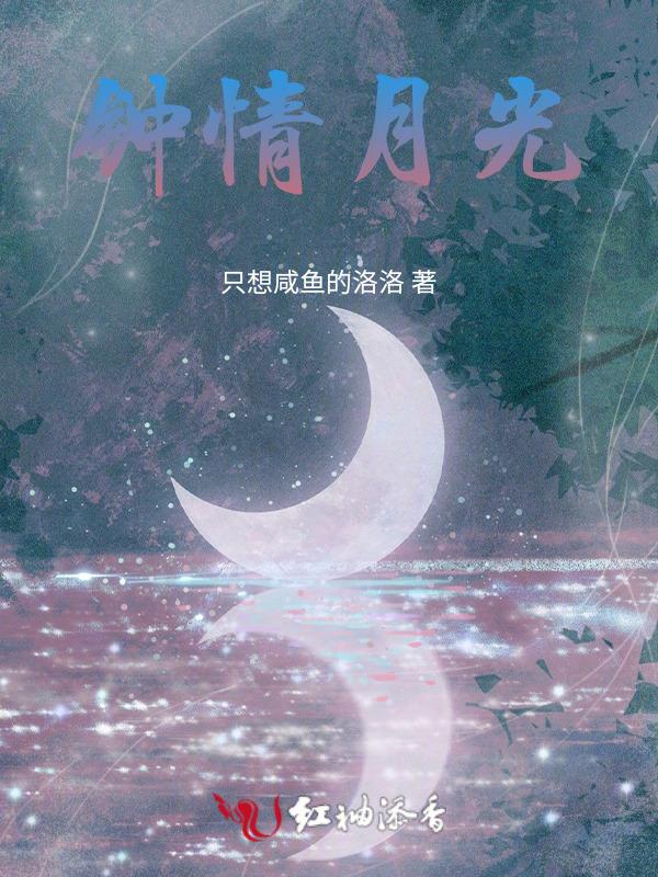 钟情月光湖电视剧全集免费观看