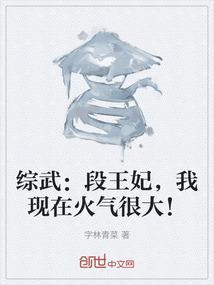 段王妃是什么意思