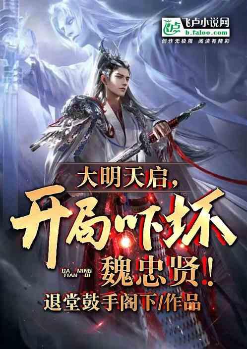 穿越大明天启排名