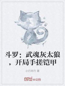 开局手搓铠甲免费