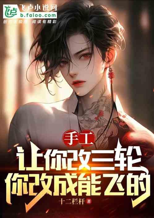 自制摩托三轮改装