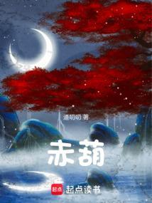 赤葫笔趣阁