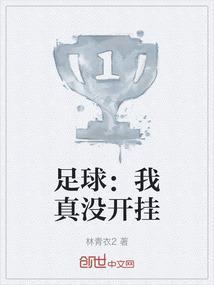 我真没有开过挂