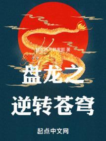 盘龙之逆转苍穹免费阅读