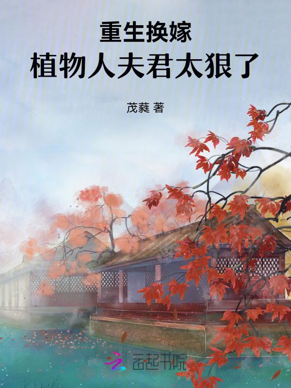 重生换夫记txt免费阅读