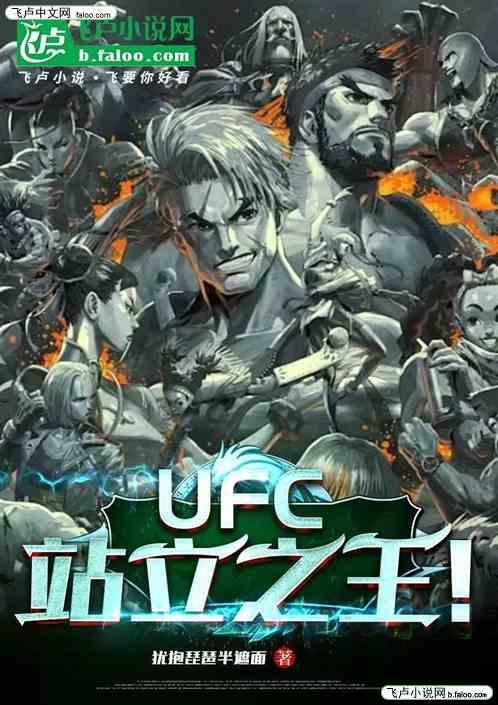 ufc选手站立水平