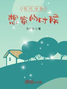 想家的夜晚 现代诗歌