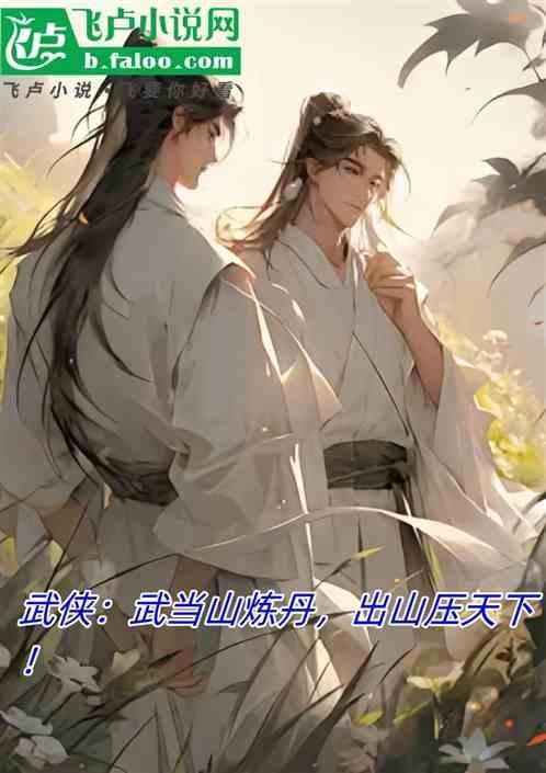 武当山学的武功每天都练上七八回了
