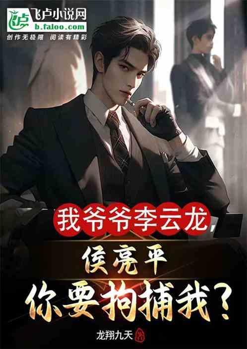 侯亮平的枪