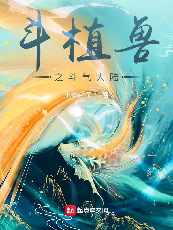 斗气大陆动画