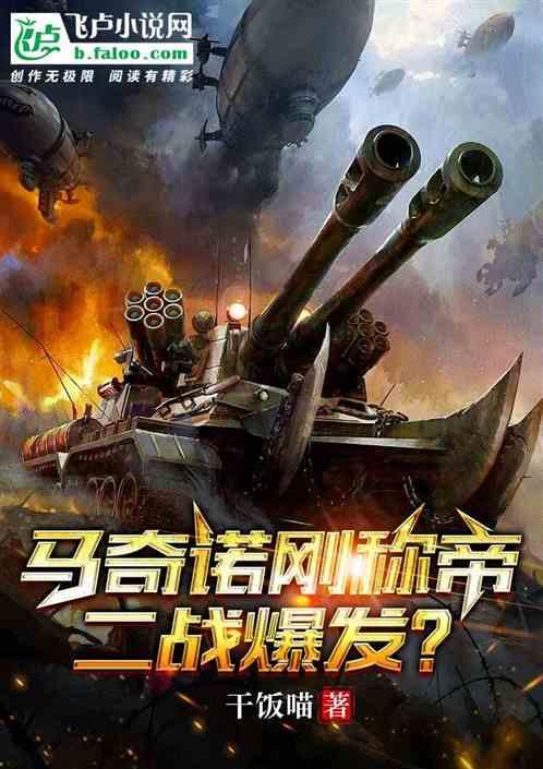二战马奇诺防线视频