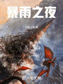 暴雨夜什么意思