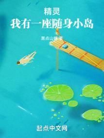 精灵我有一座随身小岛TXT百度网