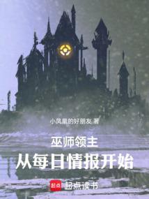 巫师元素领主