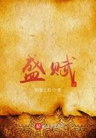 盛赋讲了什么故事