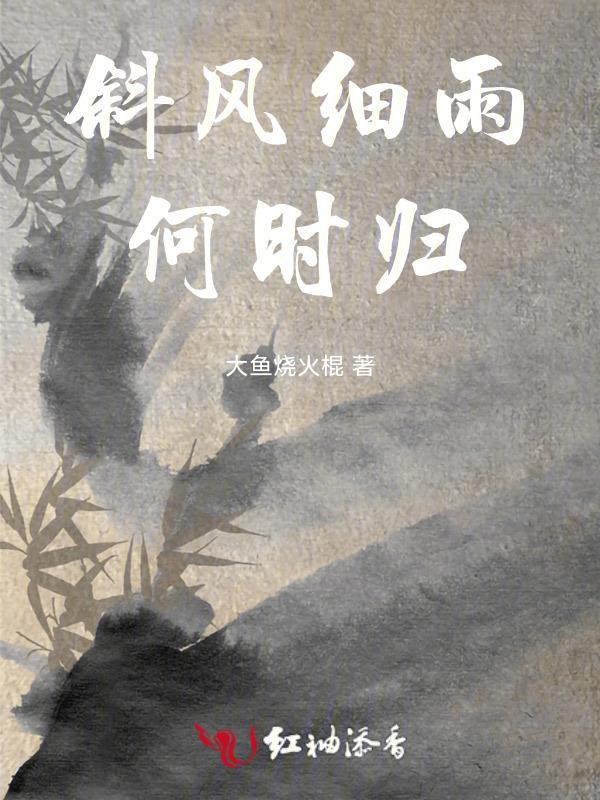 斜风细雨无处归