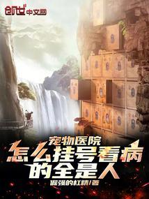 去宠物医院看