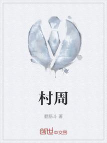 村周工作汇报