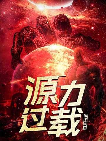 源力过载TXT