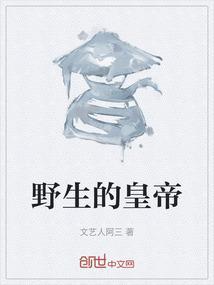 伊布吉普赛人