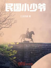 民国小少爷在京被打的